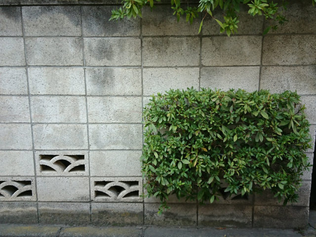 透かしブロック（日の出）とはみだせ緑