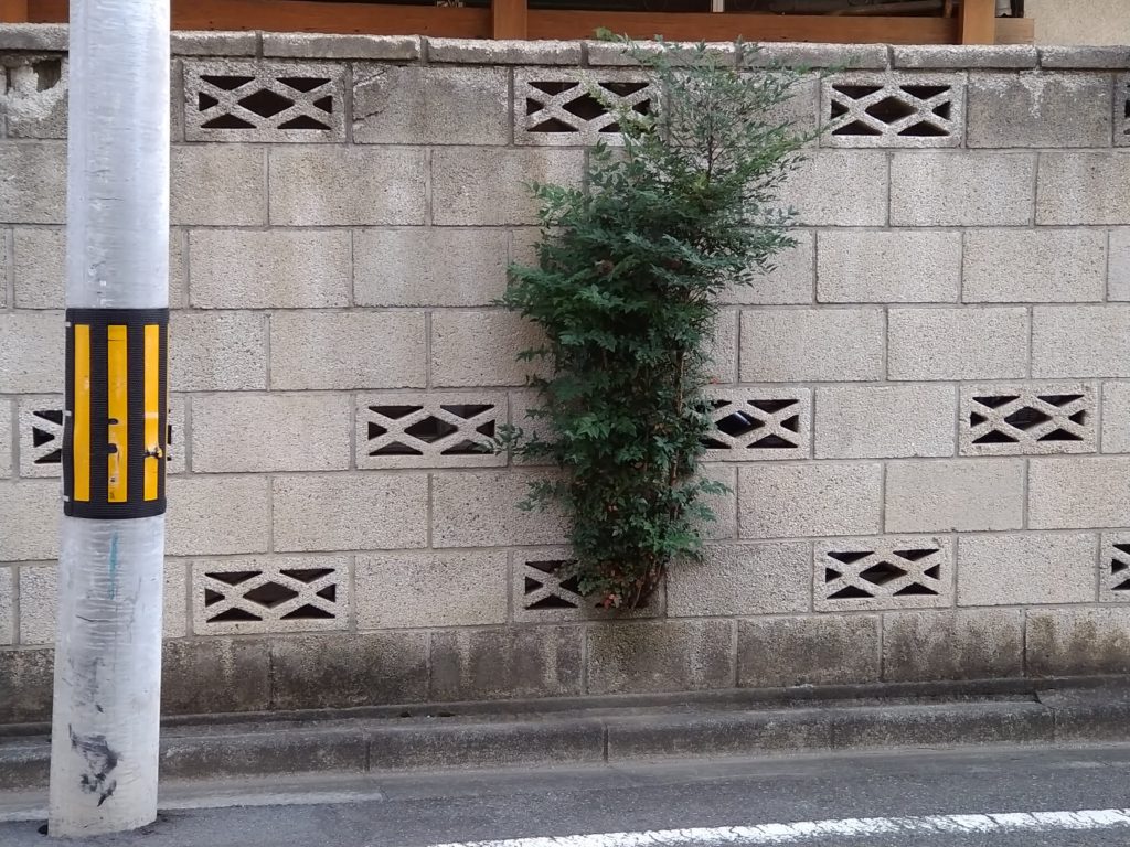 植物はみ出し透かしブロック・埼玉県川越市